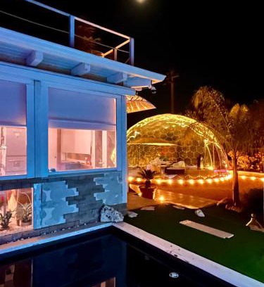 Adelfia Other | Bubble World Wild Love