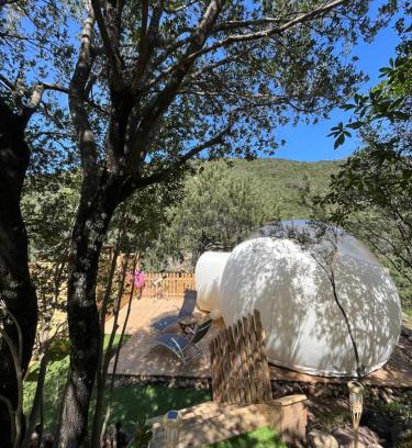 Galeria Other | Bulle du Fangu