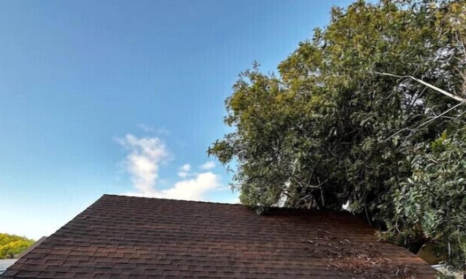 West Los Angeles House | Bungalow #1 & Bungalow #2/1 Price-West LA Location SLEEPS SIX