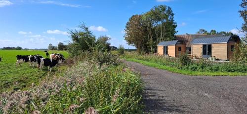 Hallum Apartment | Buorkerijhûske A - Tussen Wad en Weide