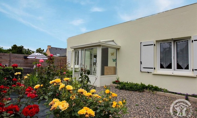 Plerin House | Butterflies - PLERIN