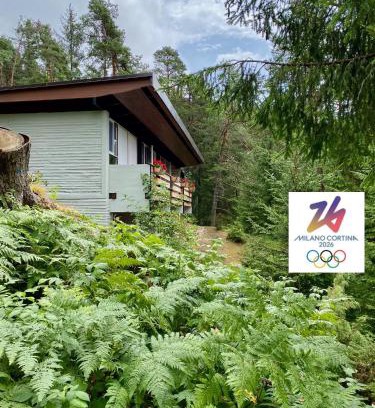 Borca di Cadore Ski Chalet | Ca' Mugo, chalet immerso nel bosco