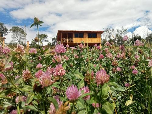 Paipa House | Cabaña Colibri