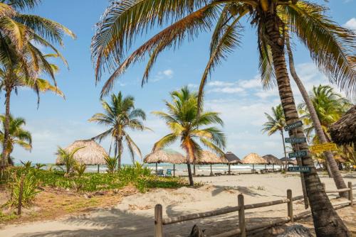 Monitos House | Cabaña San Miguel
