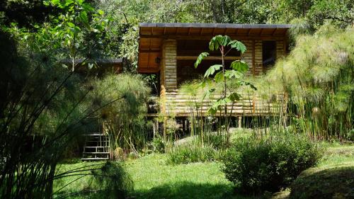 Guarne Other | Cabaña Silencio
