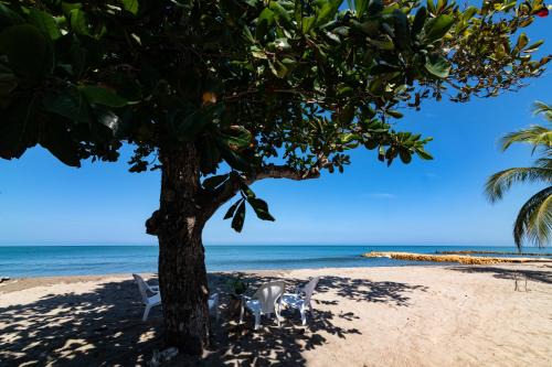 Sucre House | Cabana Canaima