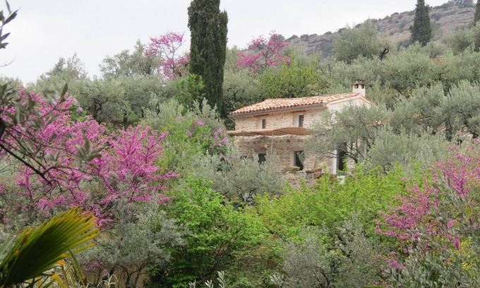 Nyons House | Cabanon in the olive trees in Nyons.