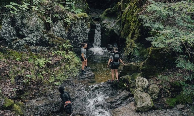 Eastman Cabin | Cabin Zoobox des cervidés