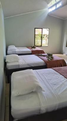 Los Planes Bed & Breakfast | Cabinas Corcovado Green Parrot, Los Planes Drake