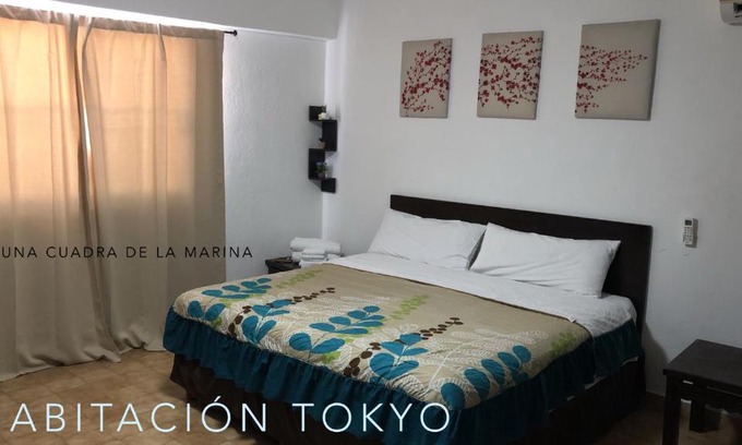 Centro Hotel | Cabo Tortuga Hotel Boutique