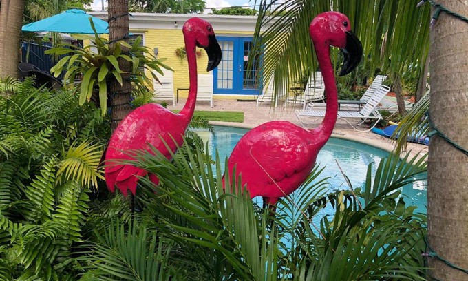 Wilton Manors Hotel | Calypso Inn Wilton Gay Male Resort