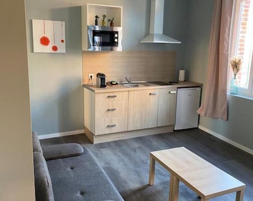 Cambrai Apartment | Cambrai:magnifique studio