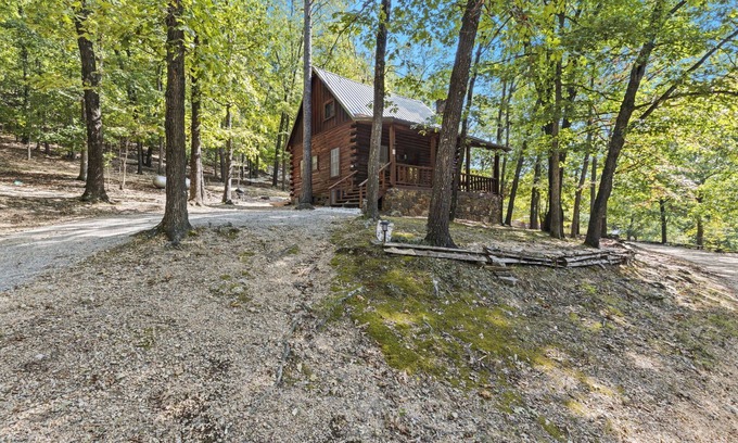 Eureka Springs House | Camp Allswell - Cozy Loft Cabin Getaway-Fireplace