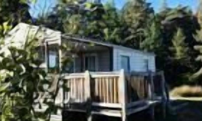 Rouffignac-Saint-Cernin-de-Reilhac House | Camping Flower Les Terrasses de Dordogne *** - Mobile Home Oak Comfort 3 Rooms 5 People