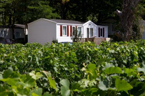 Petit-Palais-et-Cornemps Other | Camping Le Pressoir