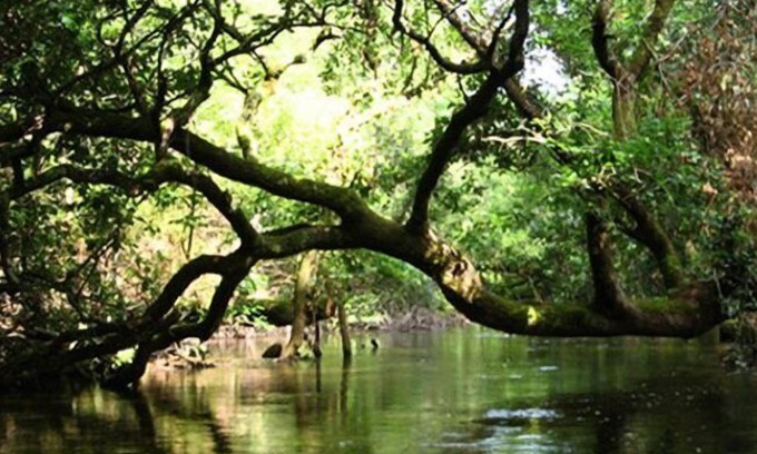 Lesperon House | Campsite Lou Payou* - Mobile Home Super Mercure 3 Rooms 4 People