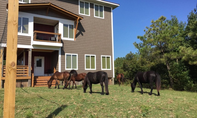 Carova Beach House | Canal front. 4WD area. Hot tub. Screened-in porch. Large deck. Game room.