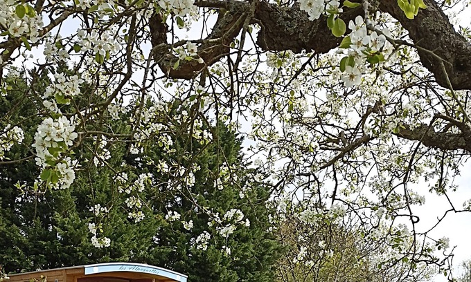 Saint-Romain-de-Benet Other | Caravan in the heart of an alpaca farm