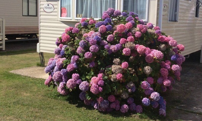 New Forest District House | Caravan on 5 Star Holiday Park nr. Beaches and New Forest