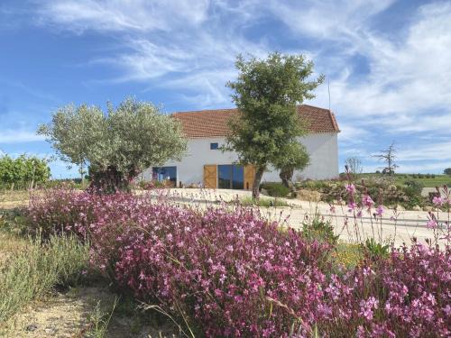 Carvalhal Benfeito House | Cas'Amaro