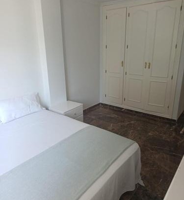 San Vicente del Raspeig House | Casa abedul