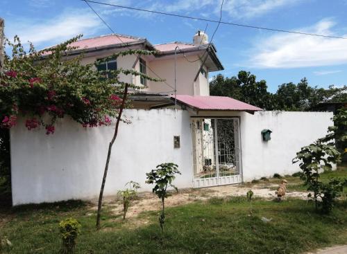 Punchana House | Casa Blanca Padrecocha - Rio Nanay