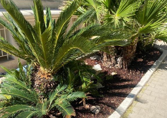 Prado-Perier Villa | Casa Cacao près plage et vélodrome