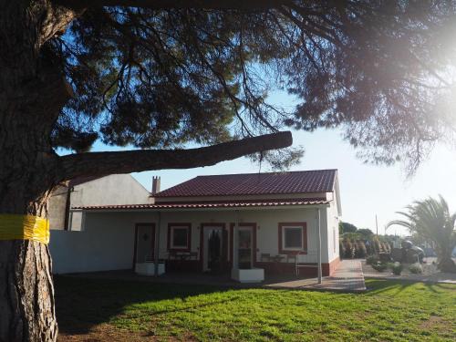Palhais Cabin | Casa das Pipas Palmela #6