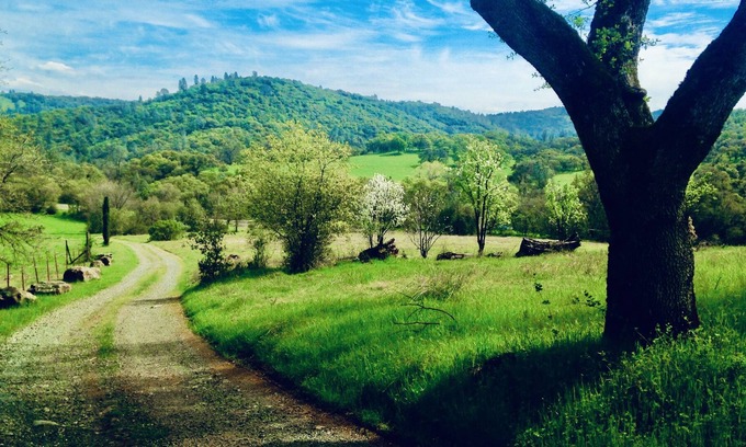 Smartville Other | Casa de Luna ~ a 5 Star, private farm retreat with hot tub and large yoga room!