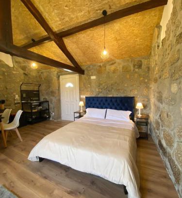 Nelas House | Casa de Pedra em Vinha no Dão