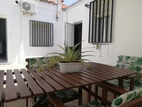 Mora House | Casa de Tina y Cora