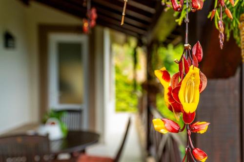 Faial House | Casa do Jardim Botanico