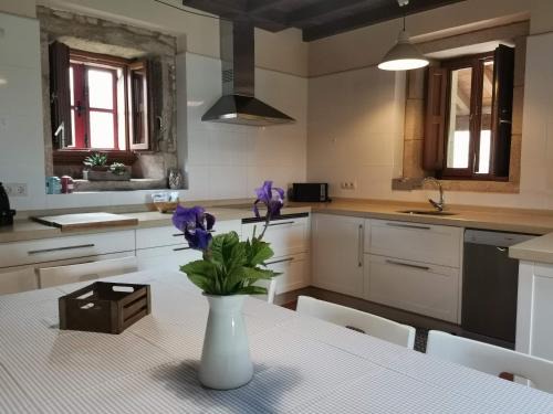 A Bana House | Casa do Peto