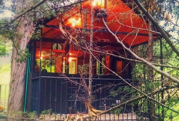 Pesca House | Casa En El Árbol Con Sauna somos PETFRIENDLY