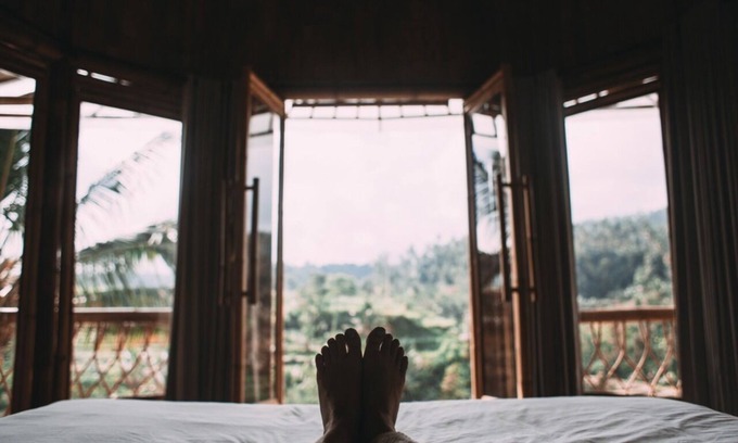 Pereira Cottage | Casa En El Arbol