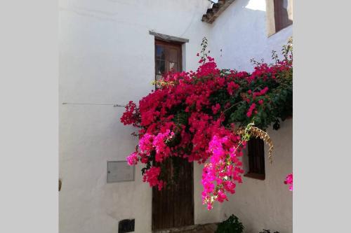 Castillo de Castellar House | Casa en fortaleza medieval