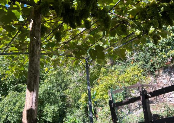 Garessio House | Casa Esterina