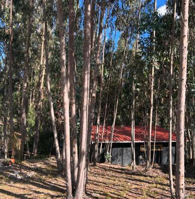 Firavitoba Other | Casa Eucalipto