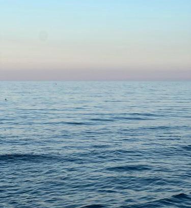 Albissola Marina Apartment | Casa Francesca