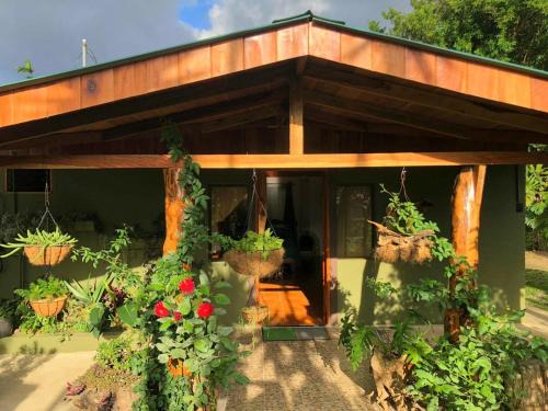 Monteverde Bed & Breakfast | Casa Haydee Monteverde