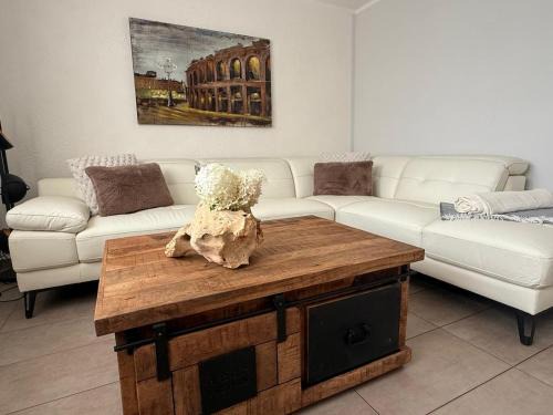 Ettenheim House | Casa Hortensia