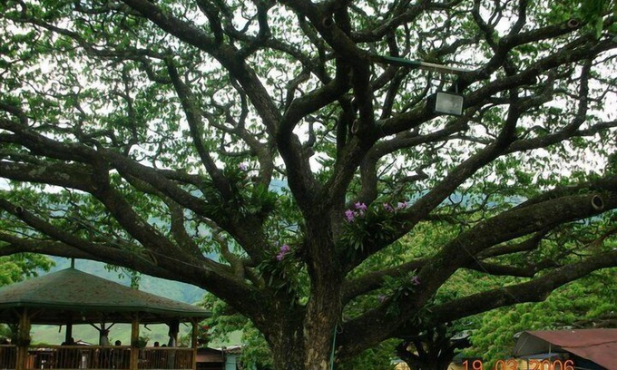 Pueblorrico House | Casa Hotel Castellón