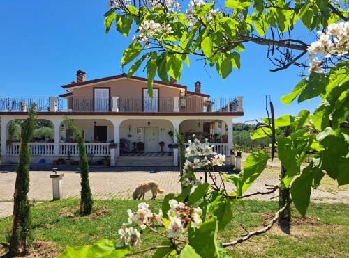 Fiano Romano Apartment | Casa La Giuggiola