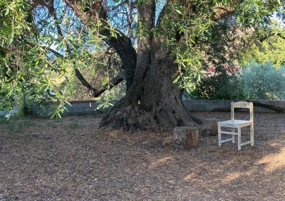 Sorso House | Casa Olea