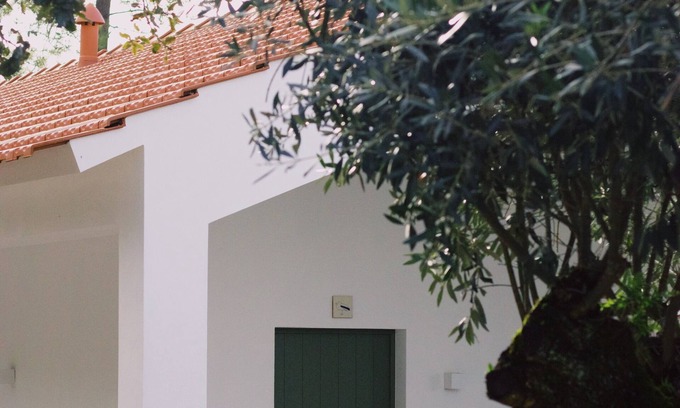 Porto de Mos House | Casa Oliva Casa da Serra