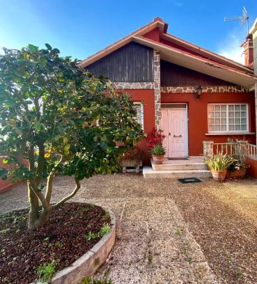 Marin House | Casa Palmiras