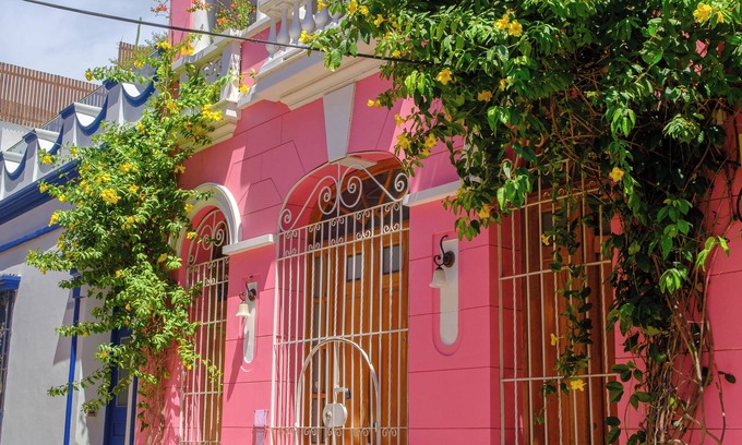 Taganga House | Casa Rosa - Alma Hotels