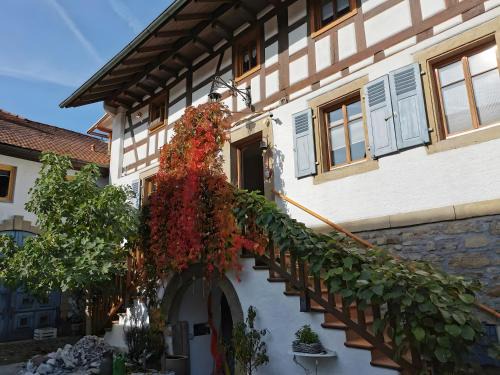Duhren Apartment | Casa Rose Pere