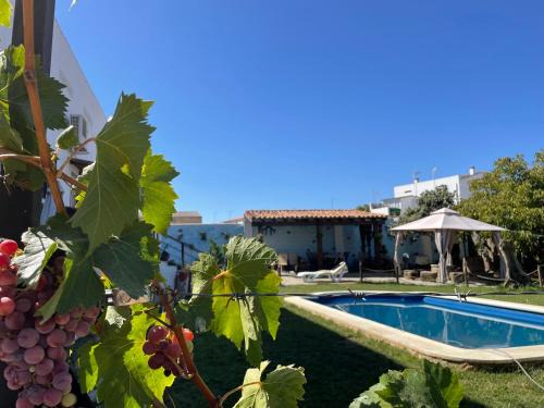 Campo Lugar Apartment | Casa Rural El Miajon Apartamentos