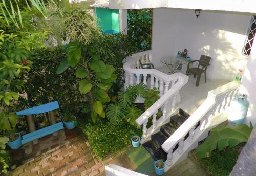 Mamatoco Bed & Breakfast | Casa San Sebastian